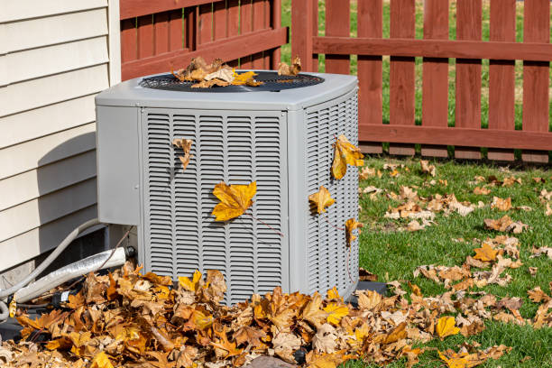 Best Affordable HVAC Services  in Vamo, FL